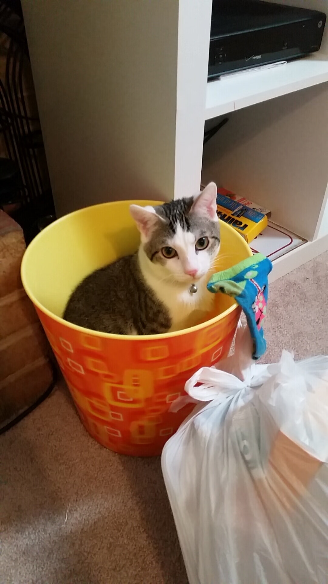 开云体育在线-穆勒闪电破局定乾坤，牙买加绝境逆袭！足球夜双响炮，一边是碾压，一边是神话