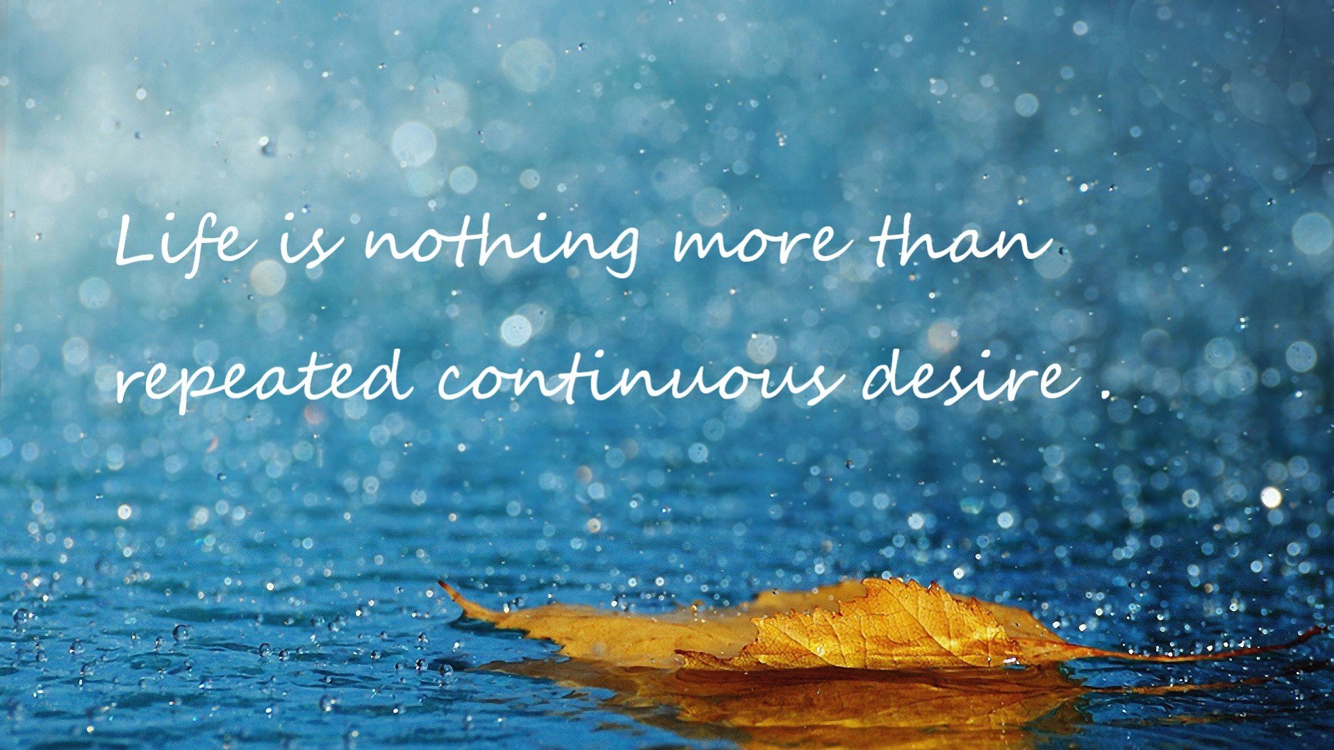 开云体育中国-约基奇绝杀秀！奇才险胜上海，关键回合彰显MVP价值，跨联盟对决引爆篮球热