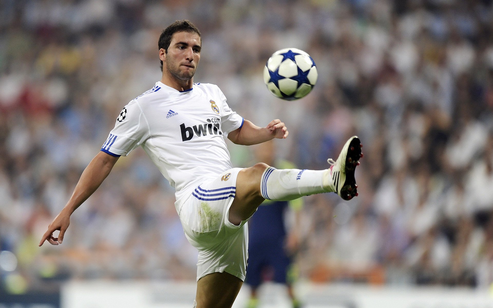 极速与终场，当F1轮胎摩擦赛道，太阳在最后0.9秒照亮灰熊的夜